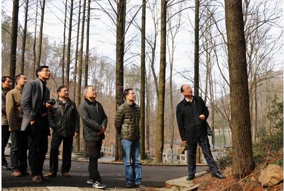 J9集团·(中国)首页