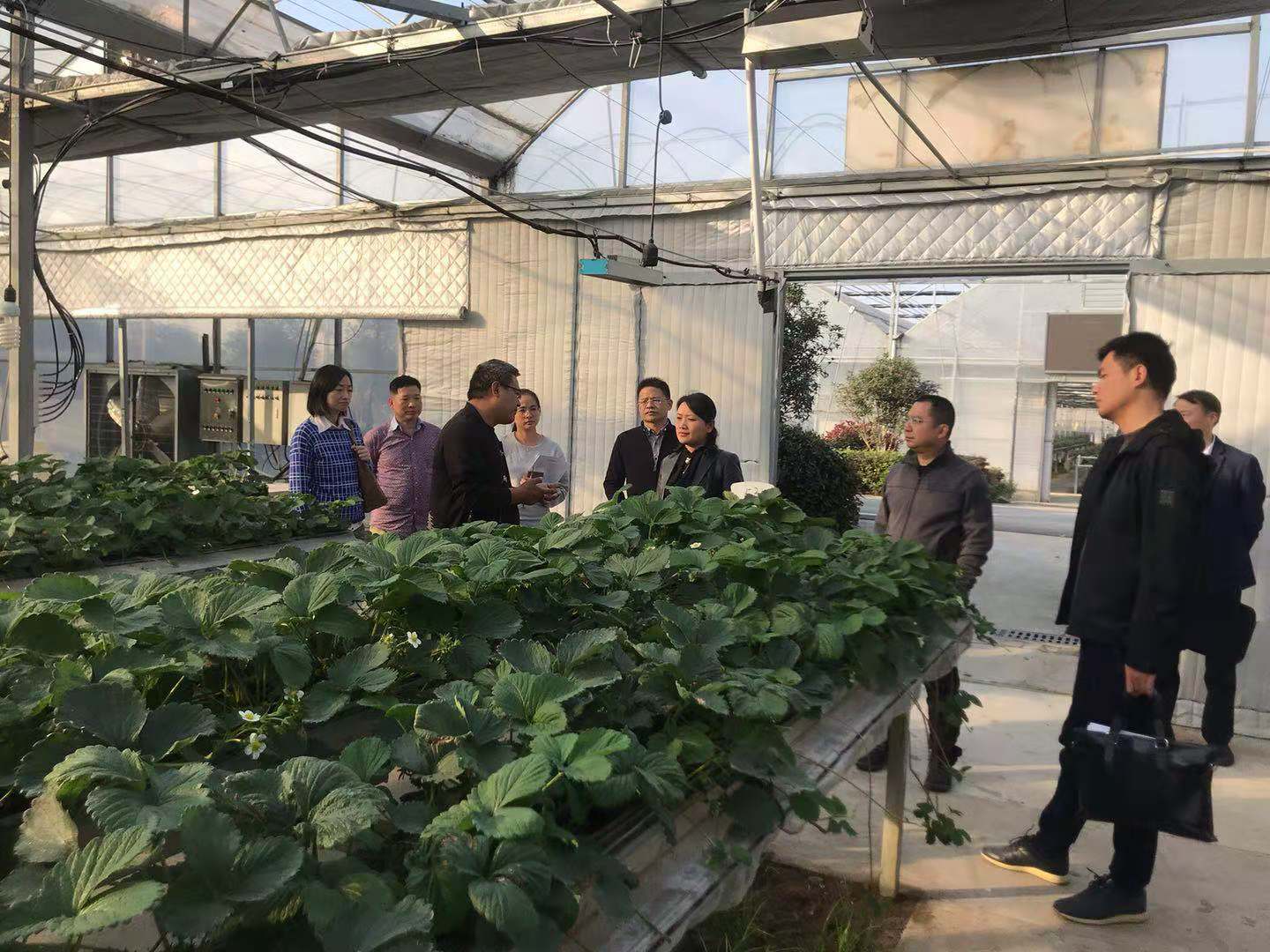 J9集团·(中国)首页