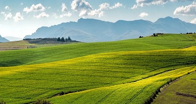 J9集团·(中国)首页